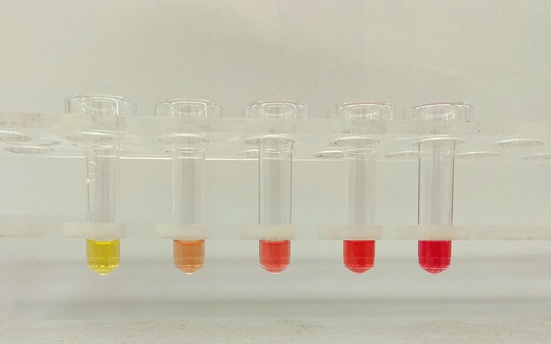 Hemolysis and Crenation - Side by Side Comparison