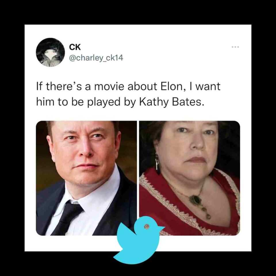 Epic Elon Musk Memes Prepare For Memetic Madness