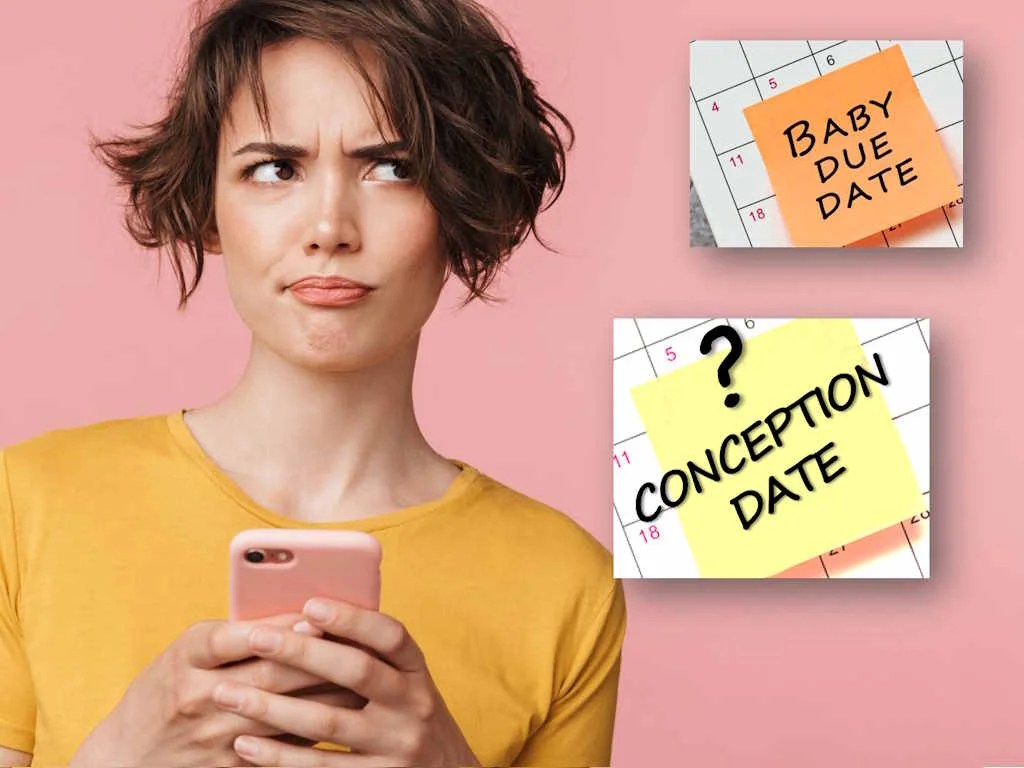Conception Date Calculator Doctor Zara