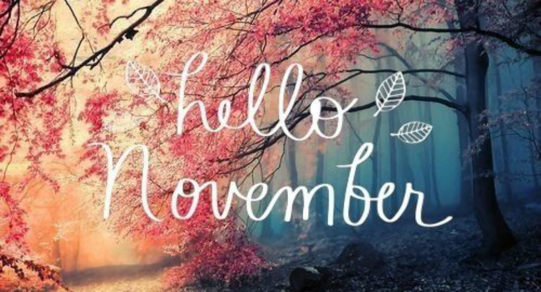 Hello November Elsieisy Blog