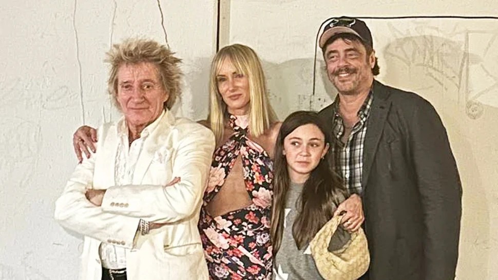 Kimberly Stewart and Benicio del Toro Pose for Rare Photo with Daughter