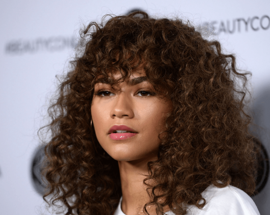 How Is Zendaya's Net Worth 5 Million Dollars? FotoLog