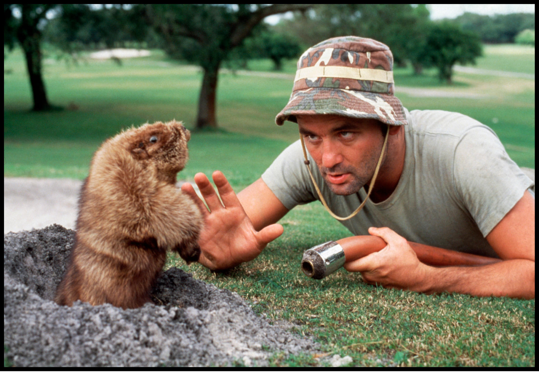 Our Five Favourite Funny Golf Ads Nova Scotia Luxury