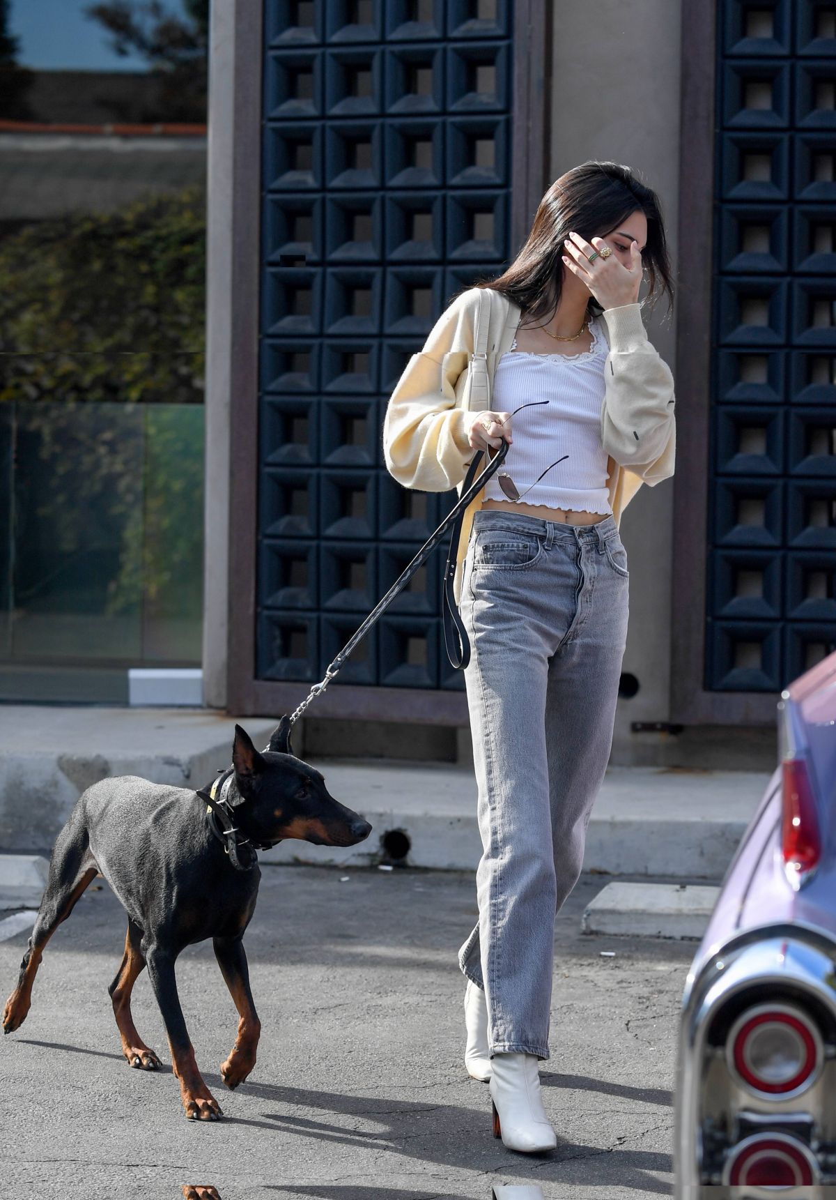 KENDALL JENNER Out with Her Dog in Los Angeles 12/16/2018 HawtCelebs