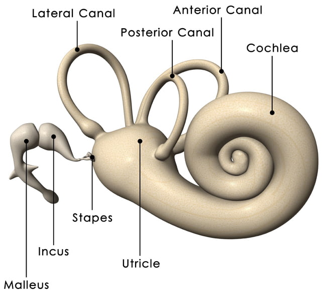 What is Meniere's disease? Hearing Link