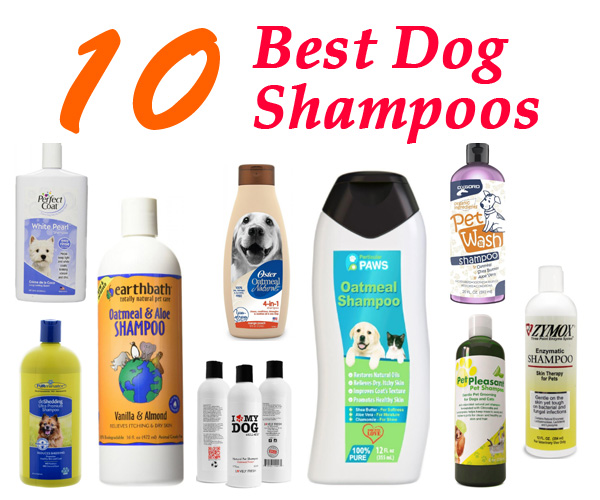 Top Rated 10 Best Dog Shampoos 2018 Best Pet Shampoos Reviews