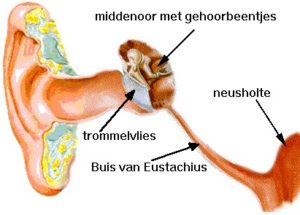 Last Van Druk Op De Oren Last Van De Buis Van Eustachius Horend Goed