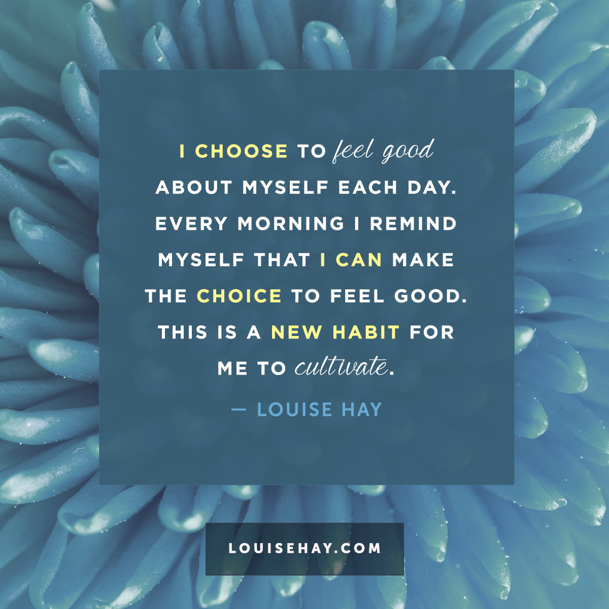 Daily Affirmations Positive Quotes From Louise Hay