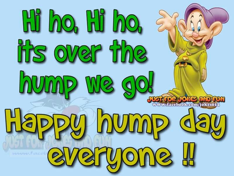 Happy Hump Day Everyone Pictures, Photos, and Images for Facebook