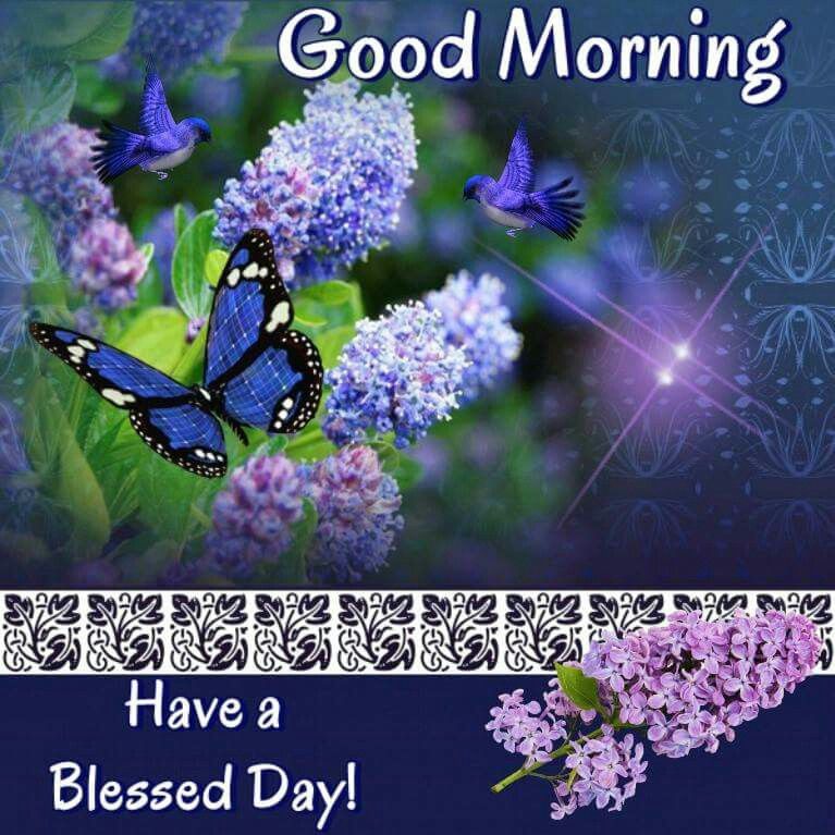 Good Morning, Have A Blessed Day Pictures, Photos, and Images for