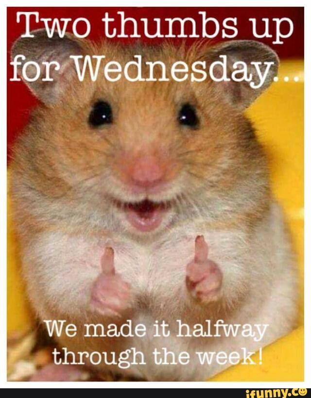 Two Thumbs Up For Wednesday Pictures, Photos, and Images for Facebook