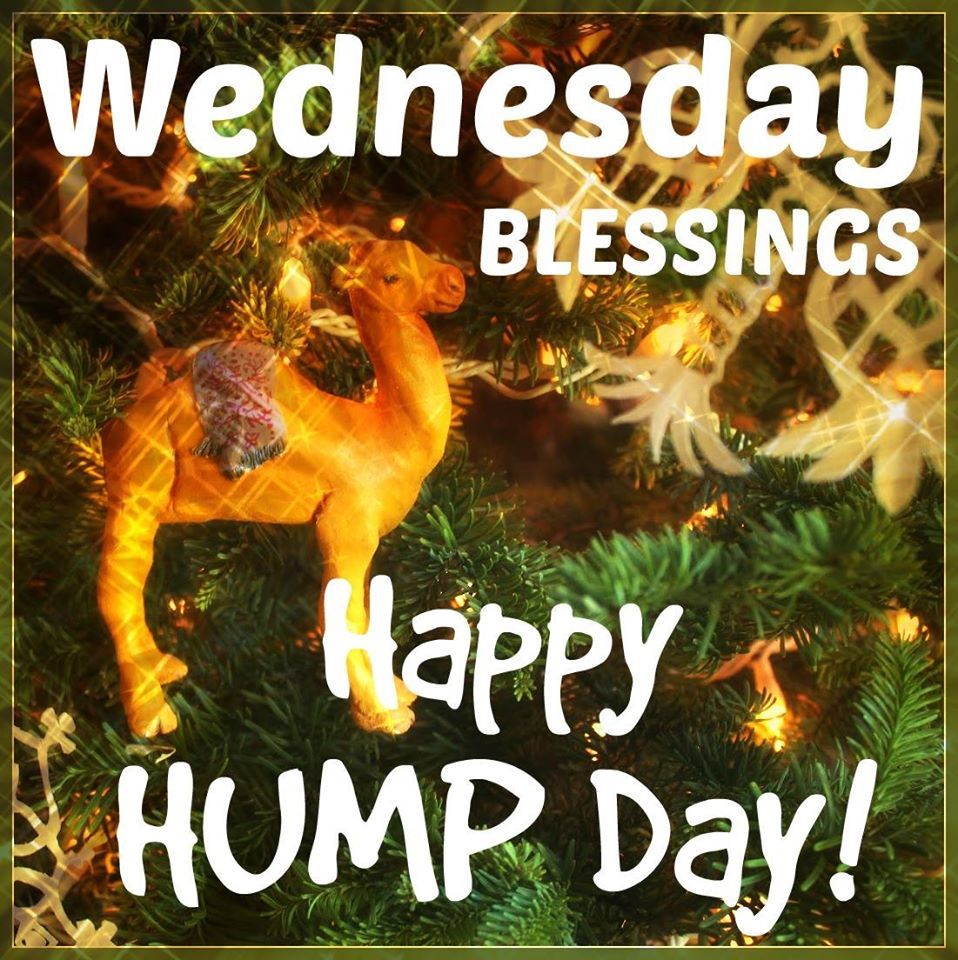 Wednesday Blessings Happy Hump Day Pictures, Photos, and Images for