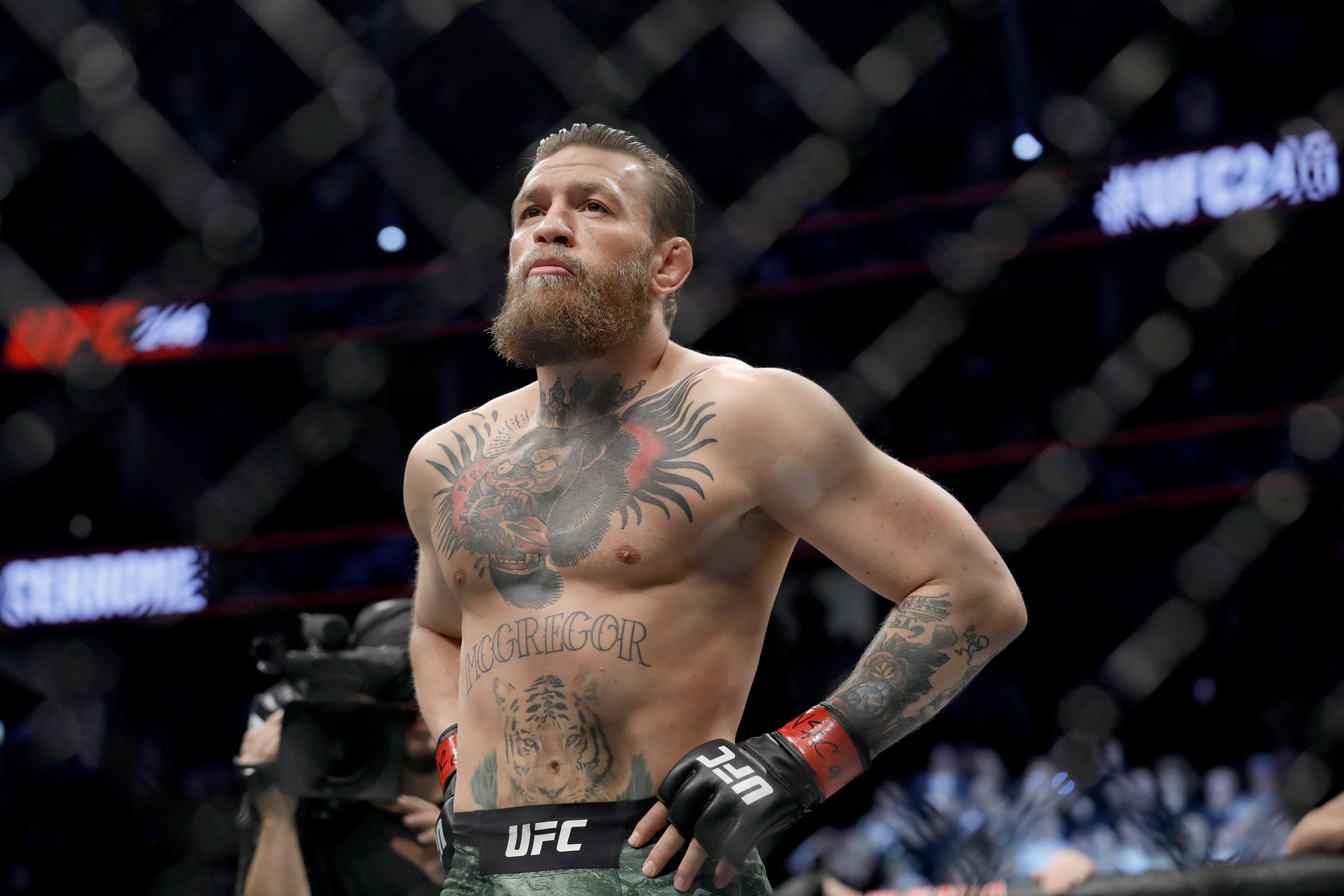 When does Conor McGregor fight next in the UFC?