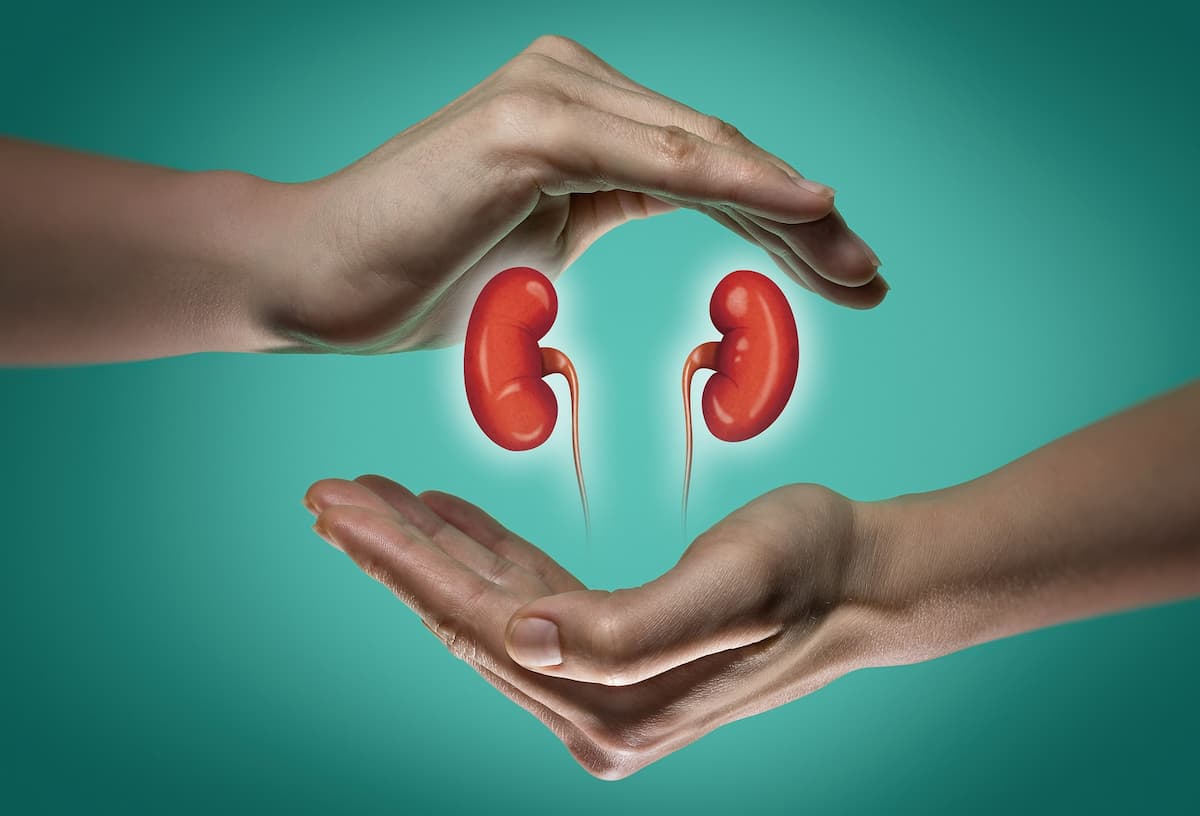 How to Solve the Kidney Transplant Problem Nanalyze