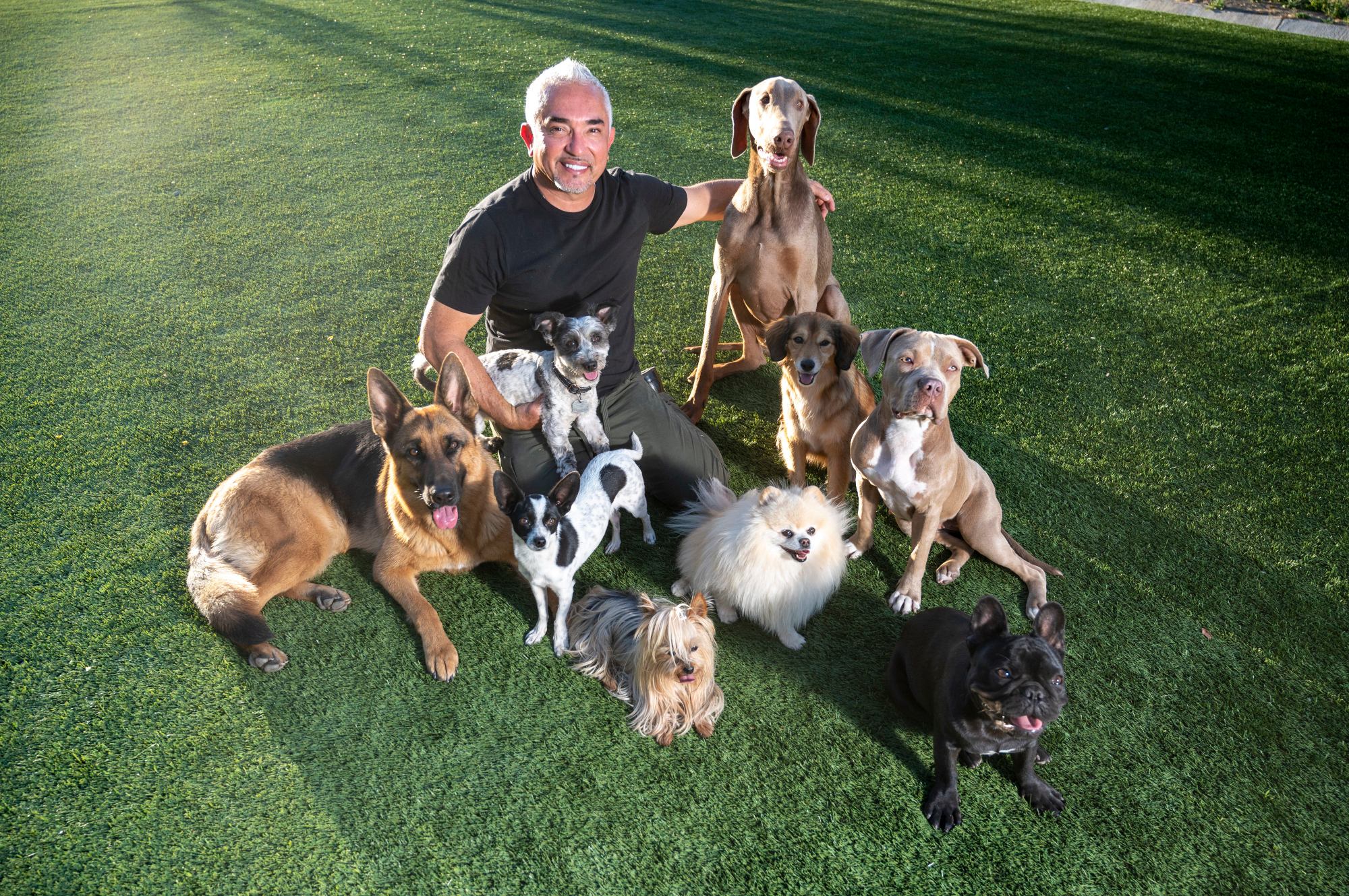 ‘Dog Whisperer’ Cesar Millan says if you want a better behaved dog, be