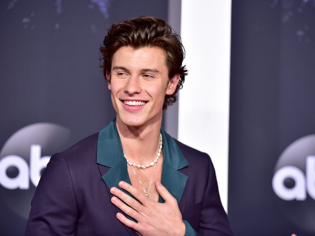 Shawn Mendes Net Worth, Age, Songs & More