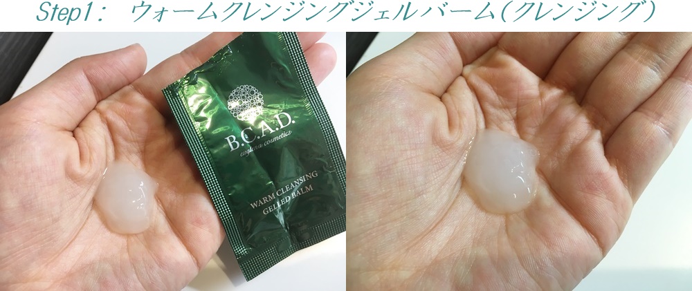 bcad_Step1