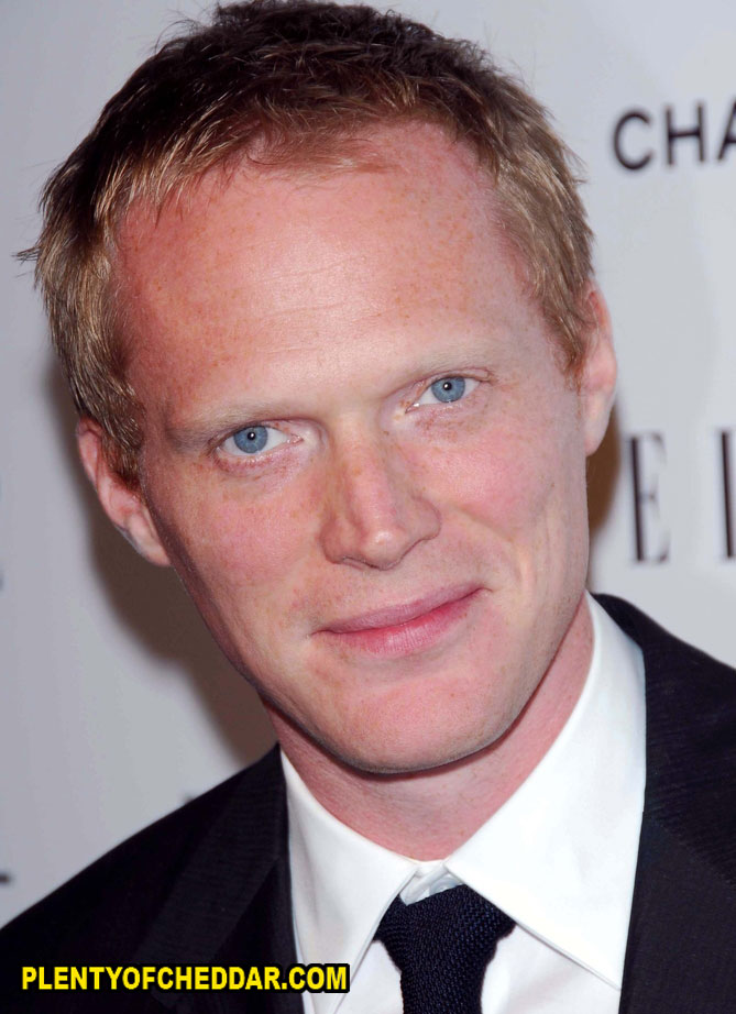 Paul Bettany Net Worth Plenty Of Cheddar