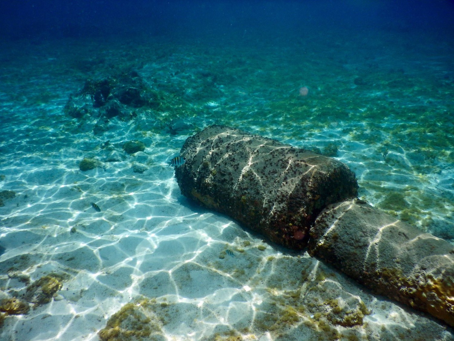 cozumel under water 2