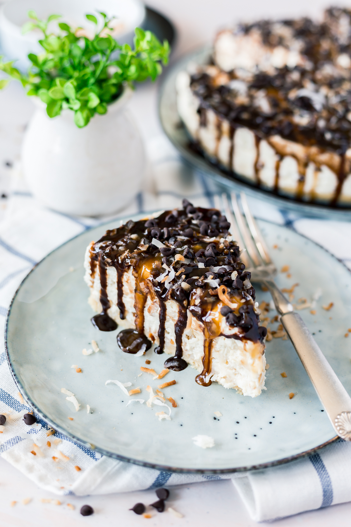 no bake samoa cheesecake