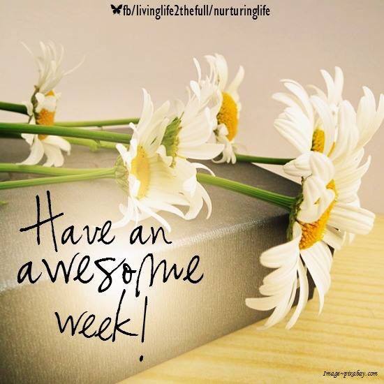 Have a great week ahead!