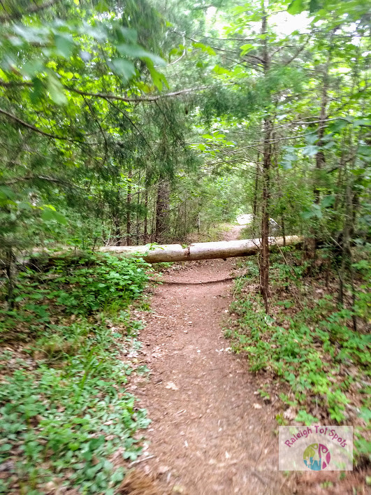 Mitchell Mill State Natural Area Raleigh Tot Spots
