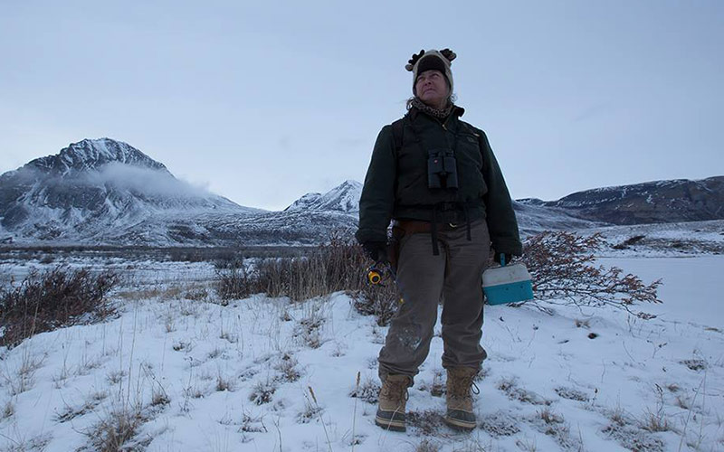 When Life Below Zero will return for season 11, and who it will follow