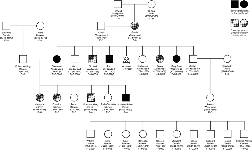 The Whitaker Family Tree Inbred earthbase