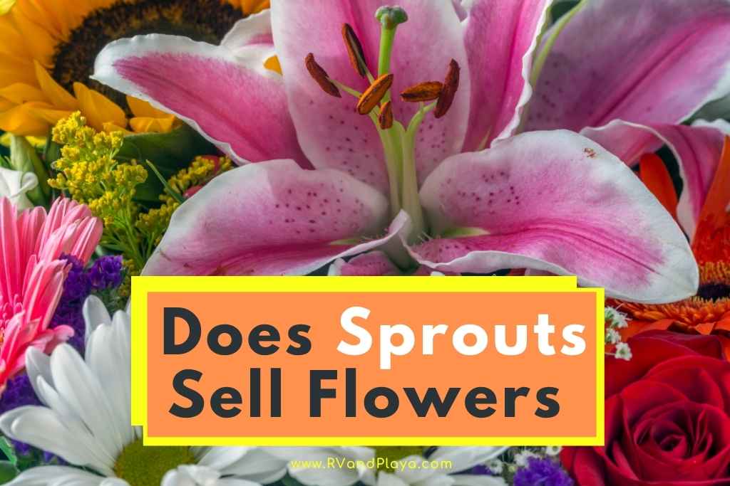 Does Sprouts Sell Flowers? (Fresh, Artificial, Valentine’s Flowers)