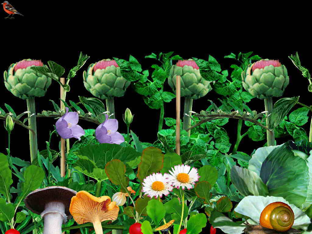 Gartenzeit