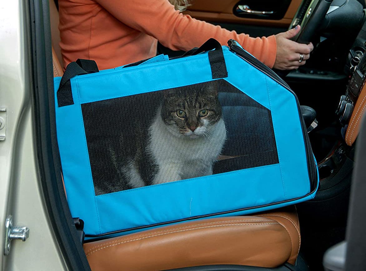 Top 10 Best Cat Carriers on Wheels in 2020 Reviews Show Guide Me