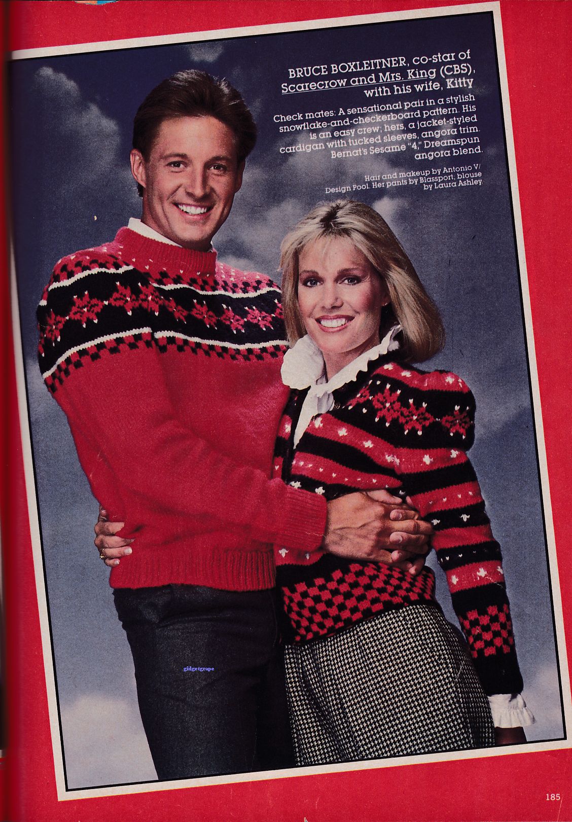 Bruce Boxleitner and his wife in matching sweaters Online