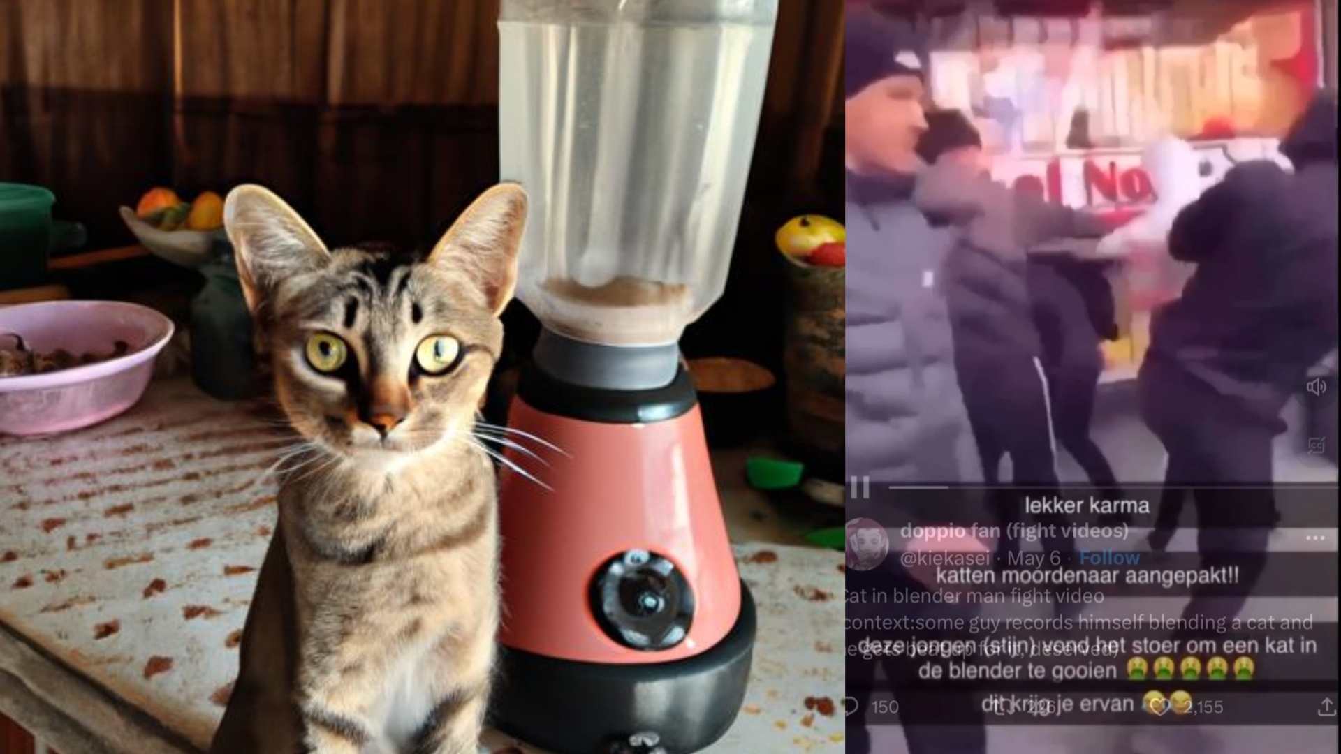 'Cat in blender' man attacked Is it the same person from the video?