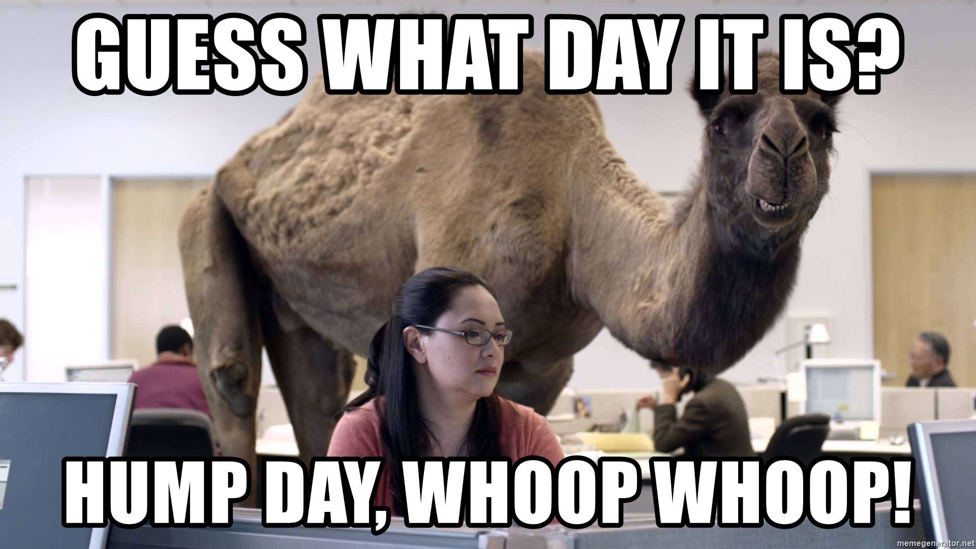 Hilarious Hump Day Memes To Kickstart Your Wednesday At Work - EchoVibe