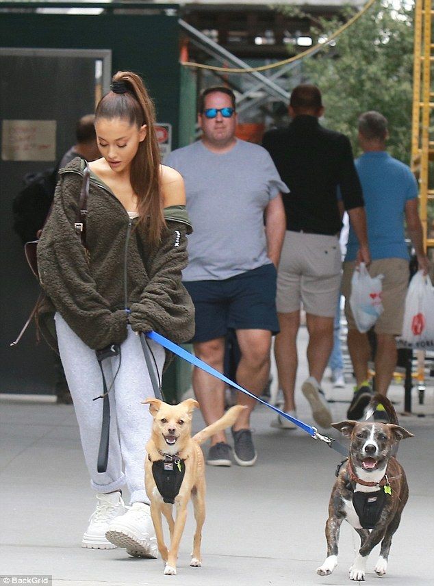 Ariana grande walking dog Cute Ariana Grande’s Outfits Ariana