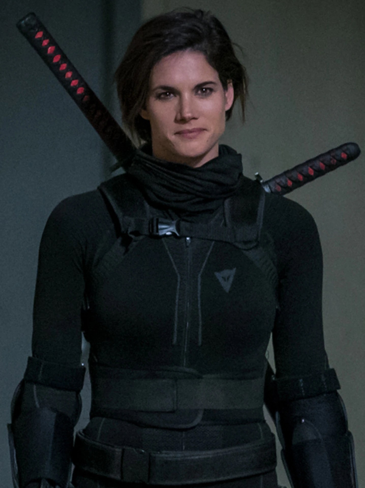Missy Peregrym Van Helsing