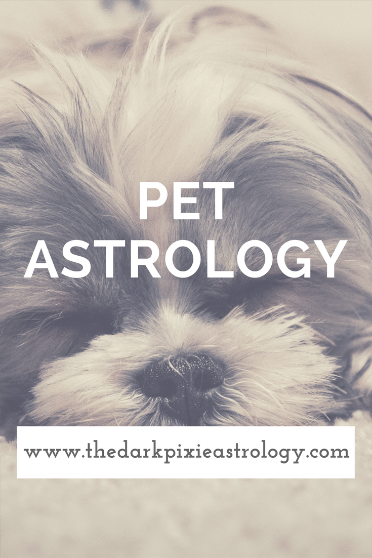 Pet Astrology