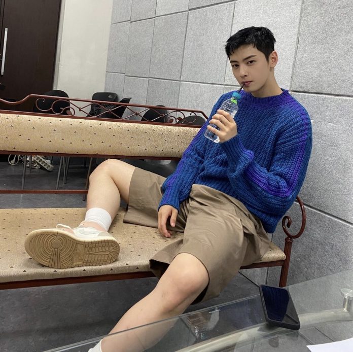 Cha Eun Woo ‘Happiness is not without stress…’ The Diarist.ph