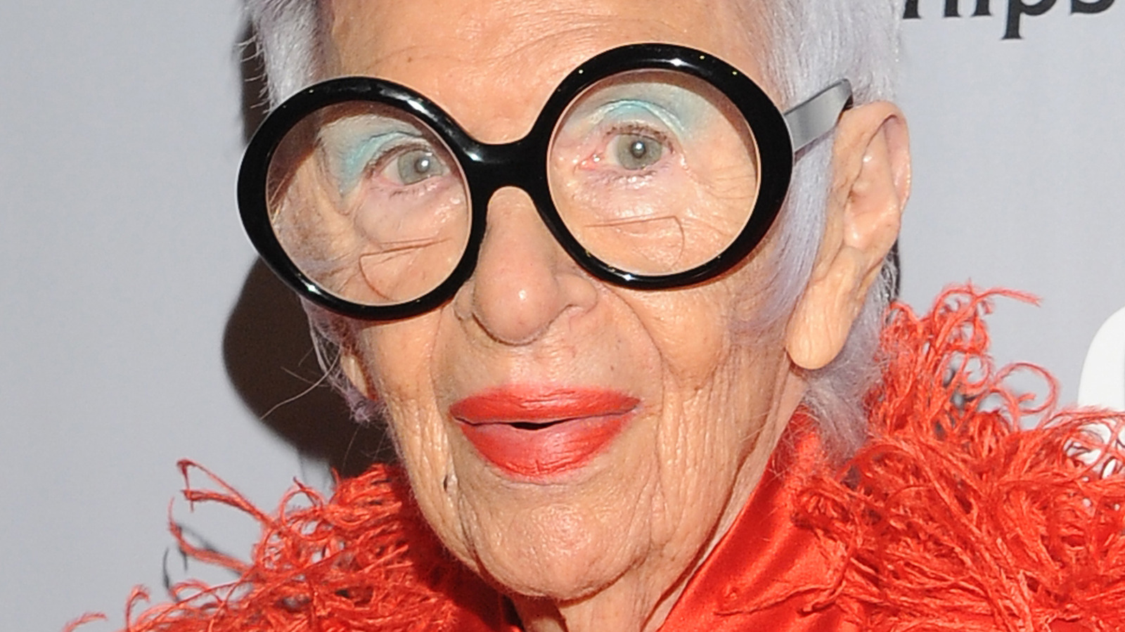 How Much Is Iris Apfel Worth?