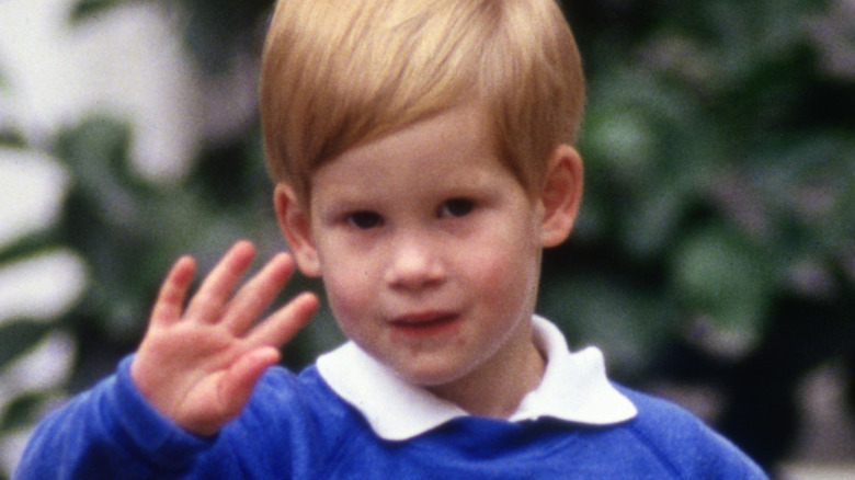 The Stunning Transformation Of Prince Harry