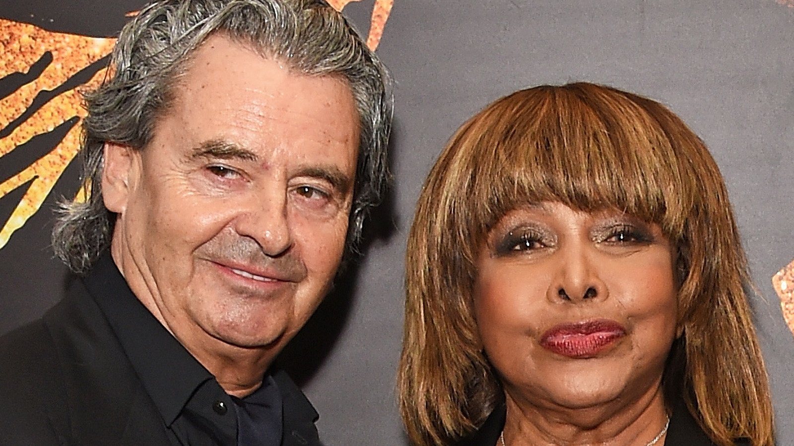 Tina turner husband anymusli