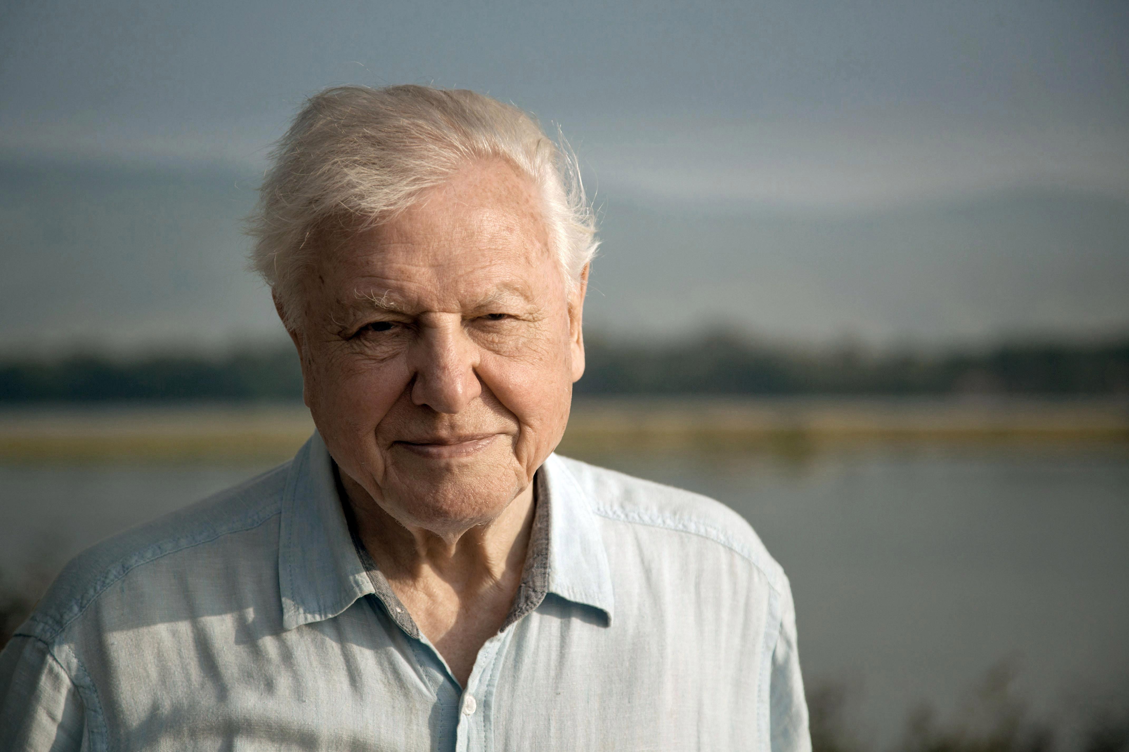 Sir David Attenborough makes shock bid to have Christmas No1 single