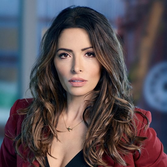 Sarah Shahi Age, Net Worth, Husband, Family, Chilren and Biography