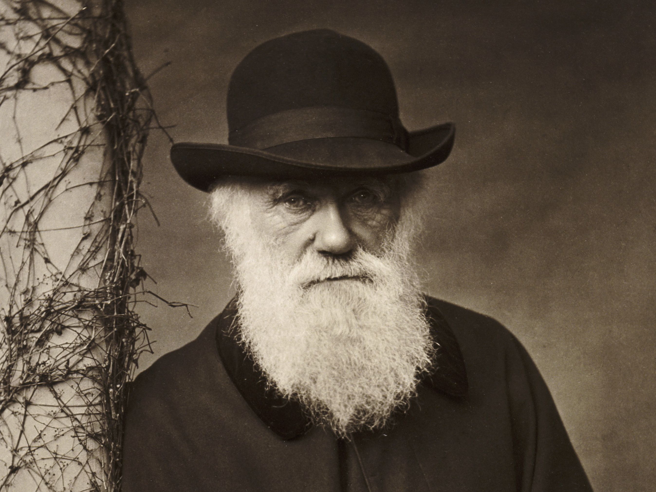 Microbiology and me Charles Darwin a revolutionary biologist