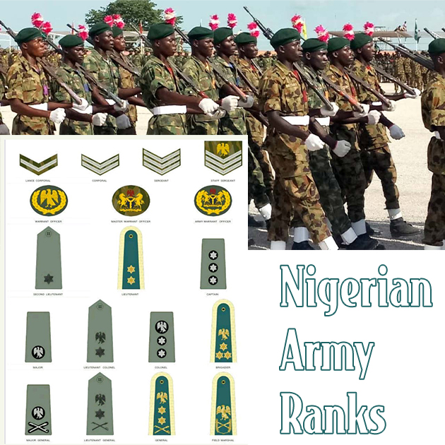 Nigerian Army Ranks and Salary Structure The Updated List