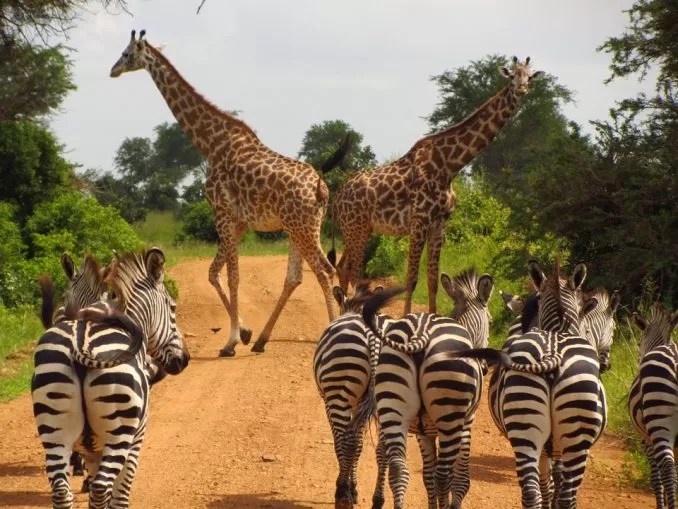 Best Places to Visit in Tanzania