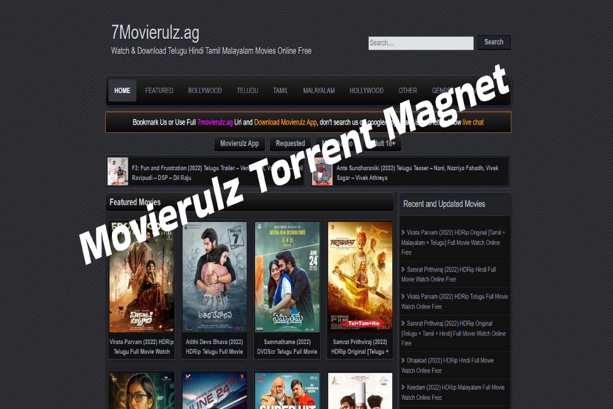 Movierulz Torrent Download 2022 Is It Safe And Legal To Download Movies?