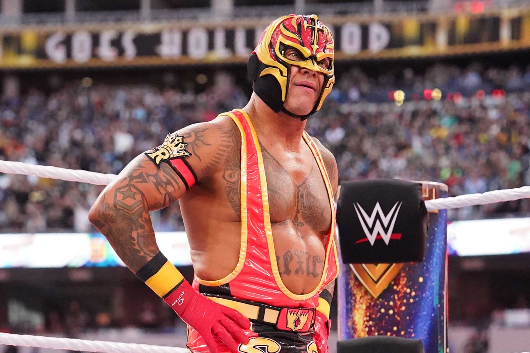 Rey Mysterio Real Name, Age, Height, Weight, WWE, Career, Wife, Son