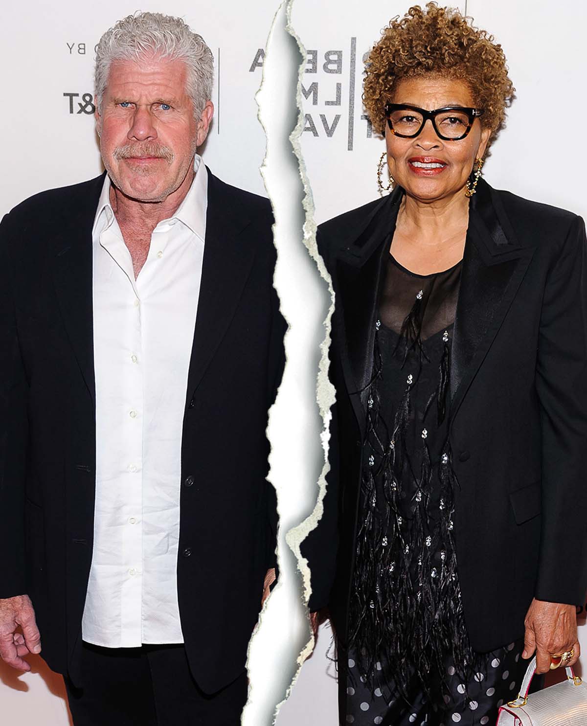 Ron Perlman, ExWife Opal Settle Divorce 2 Years After Their Split Us