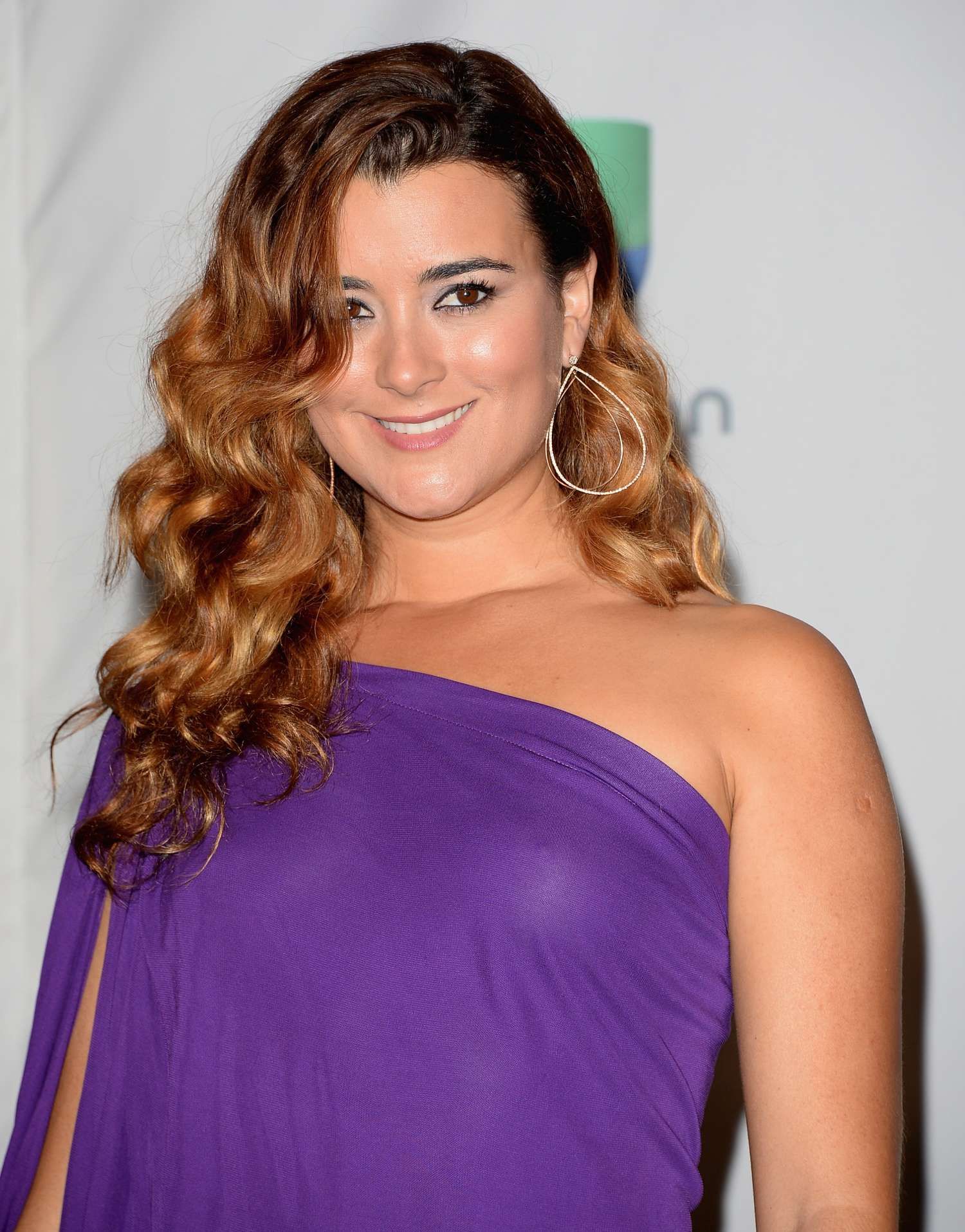 Pictures of Cote de Pablo